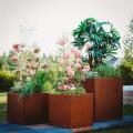 Corten Steel Edge Planters