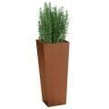 Corten Steel Edge Planters