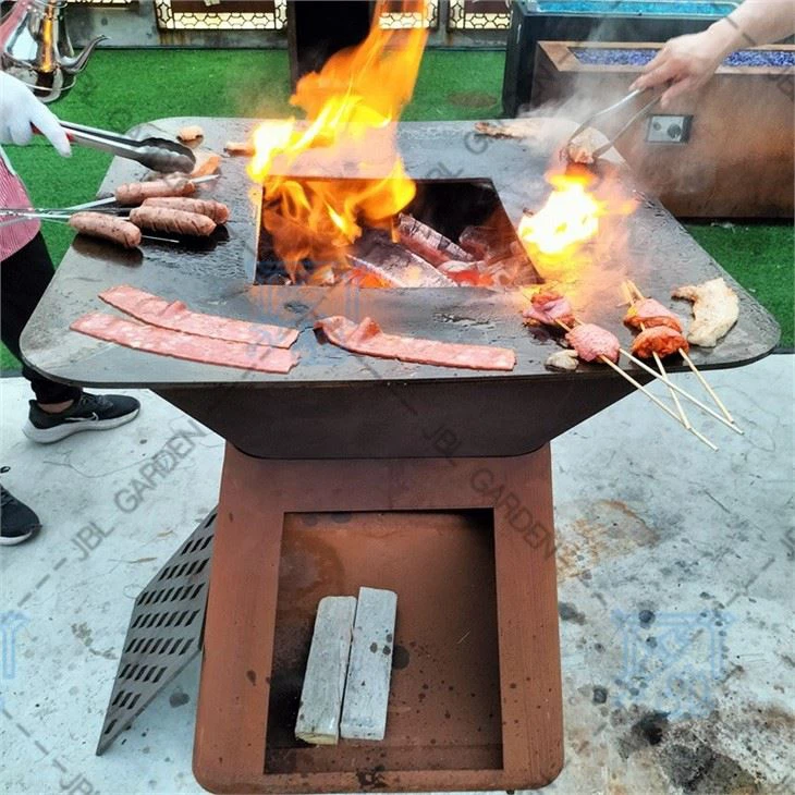 Gas Grills With Griddle