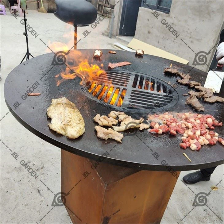 Outdoor Cooking Backyard BBQ Grill