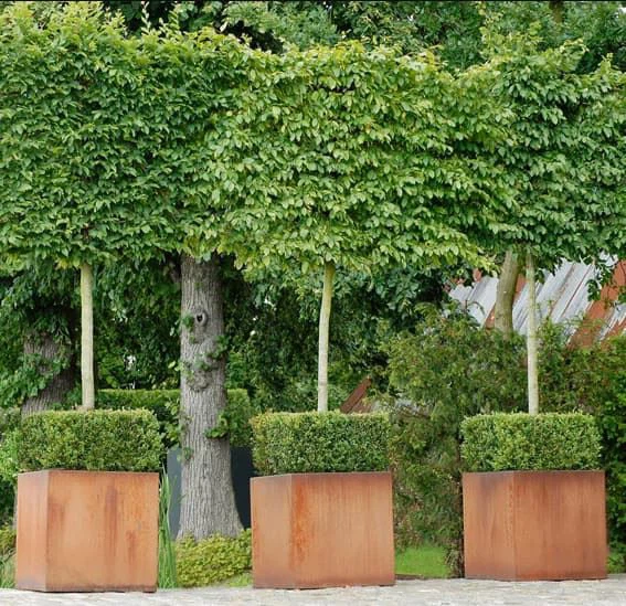 Corten Steel Flower Pot Customizable