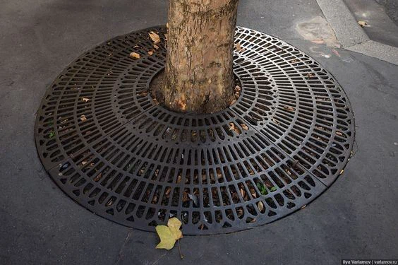 JBL Circular Tree Grille