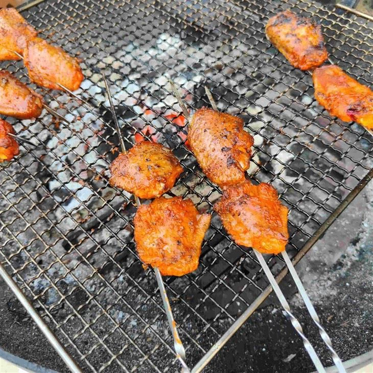 bbq grill14