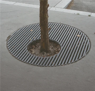 Ochránci ochrany stromů na chodníku